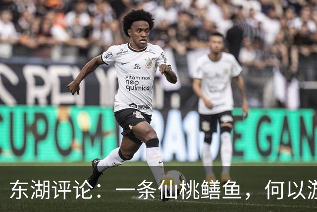 东湖评论：一条仙桃鳝鱼，何以游向世界？