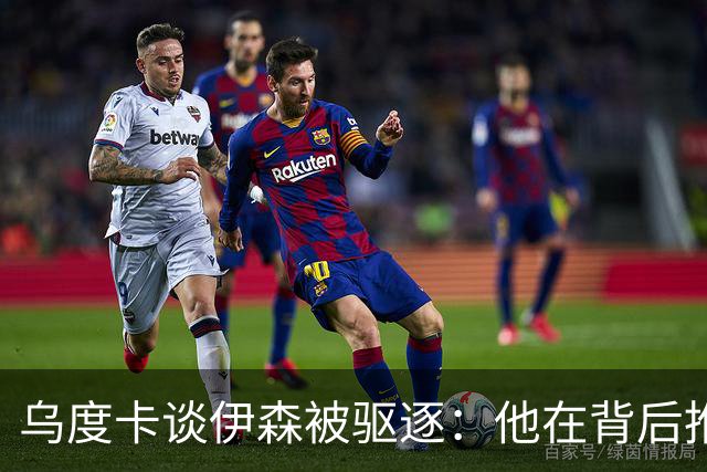 乌度卡谈伊森被驱逐：他在背后推人了 二级恶犯的判罚我挺意外的