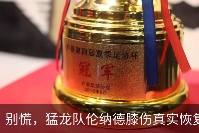 别慌，猛龙队伦纳德膝伤真实恢复时间表揭晓