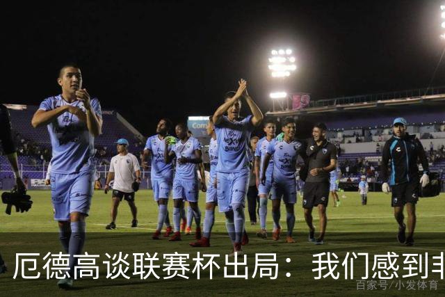厄德高谈联赛杯出局：我们感到非常沮丧，未能发挥出应有水平