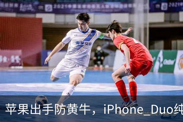 苹果出手防黄牛，iPhone Duo纯eSIM 劝退主力机用户
